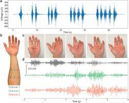 EMG signal gesture identification